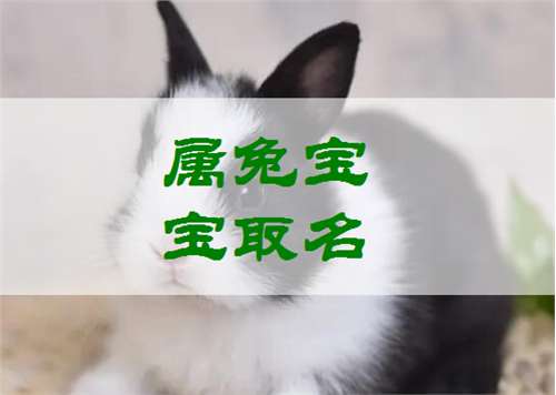 屬兔姓朱寶寶起名大全