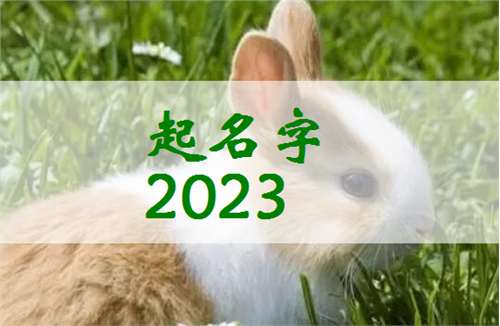 屬兔寶寶起名大全