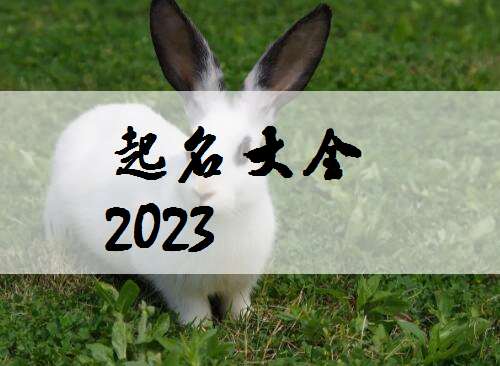 屬兔賈姓寶寶起名大全