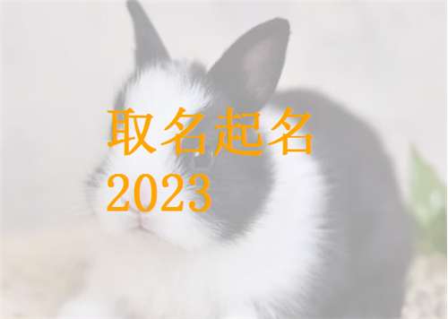 屬兔姓石寶寶起名大全