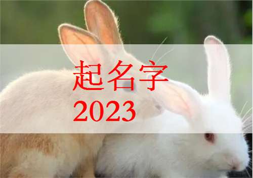 屬兔龍姓寶寶起名大全