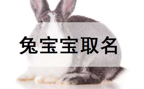 屬兔寶寶起名大全