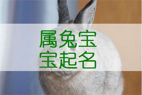 屬兔姓鄧寶寶起名大全
