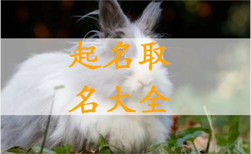 屬兔徐姓寶寶起名大全
