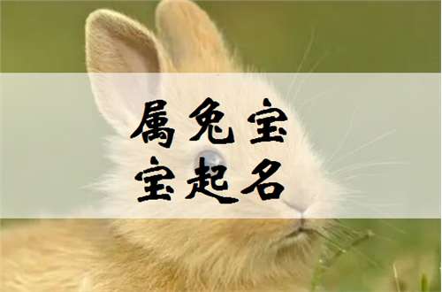 屬兔何姓寶寶起名大全