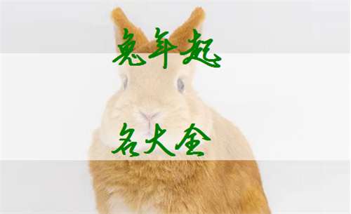 屬兔姓牛寶寶起名大全