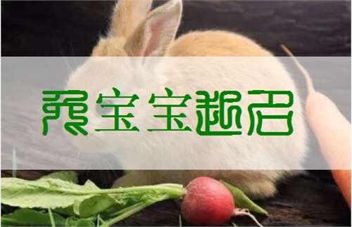 屬兔余姓寶寶起名大全