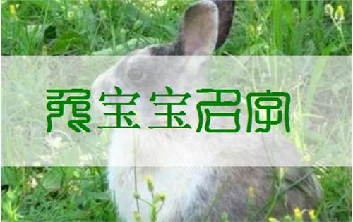 屬兔賴姓寶寶起名大全