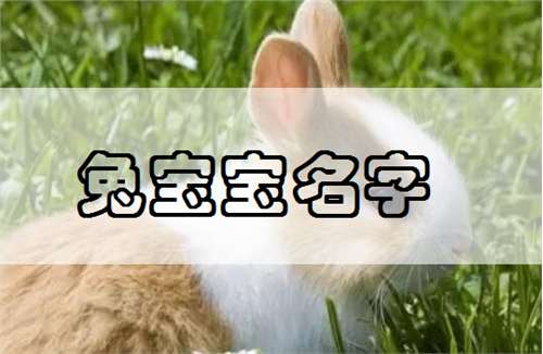 屬兔寶寶起名大全