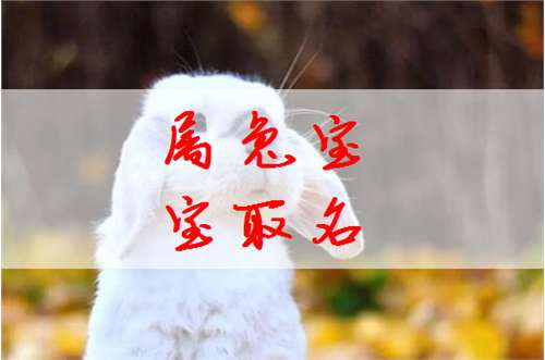 屬兔姓趙寶寶起名大全