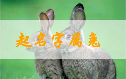 屬兔姓郭寶寶起名大全
