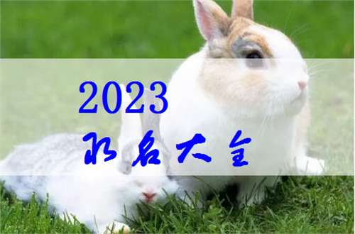 屬兔石姓寶寶起名大全