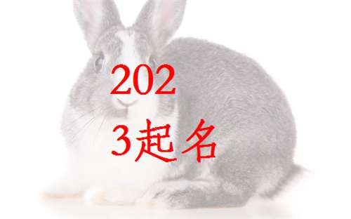 屬兔寶寶起名大全