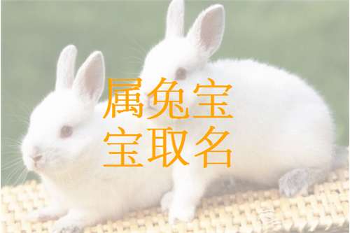 屬兔常姓寶寶起名大全