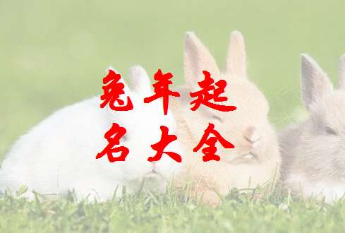 屬兔譚姓寶寶起名大全