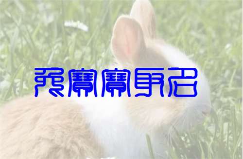 屬兔姓文寶寶起名大全