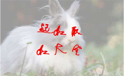 屬兔寶寶起名大全