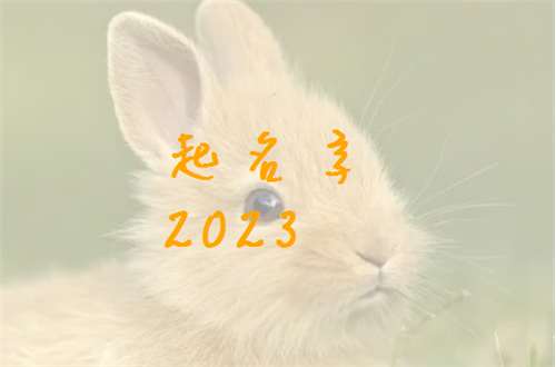 屬兔梁姓寶寶起名大全