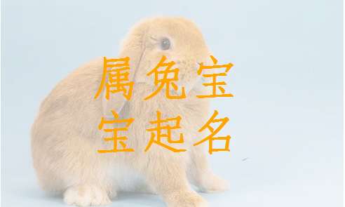 屬兔覃姓寶寶起名大全
