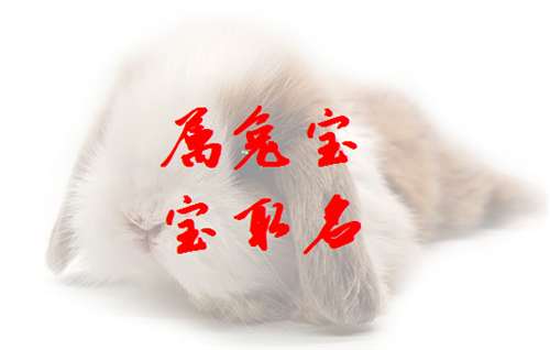 屬兔劉姓寶寶起名大全