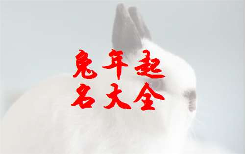 屬兔胡姓寶寶起名大全