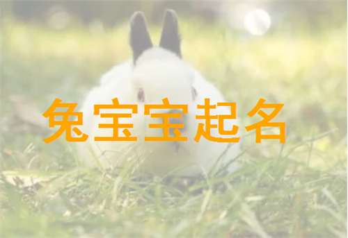 屬兔覃姓寶寶起名大全