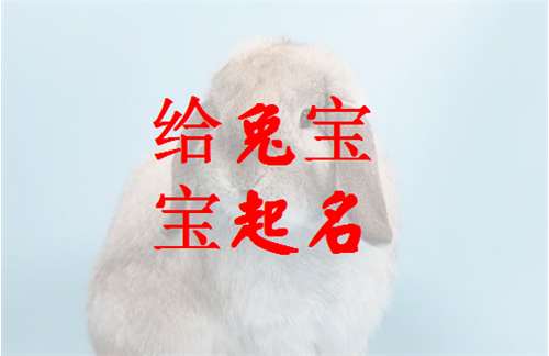 屬兔常姓寶寶起名大全