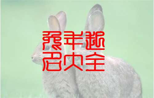 屬兔姓溫寶寶起名大全