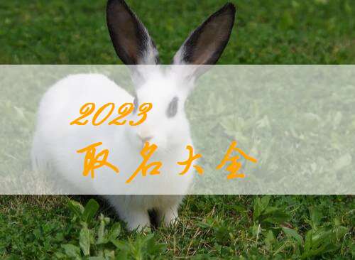 屬兔賈姓寶寶起名大全
