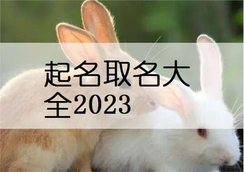 屬兔馬姓寶寶起名大全