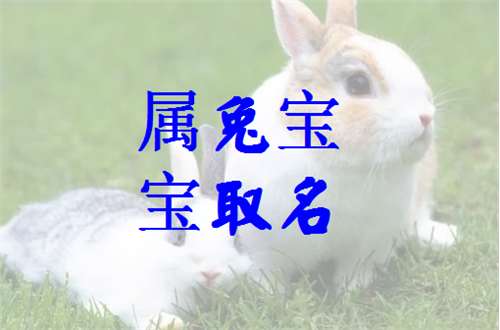 屬兔梁姓寶寶起名大全