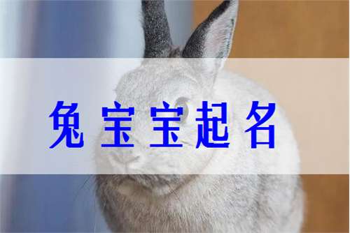屬兔姓姜寶寶起名大全