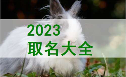 屬兔姓宋寶寶起名大全