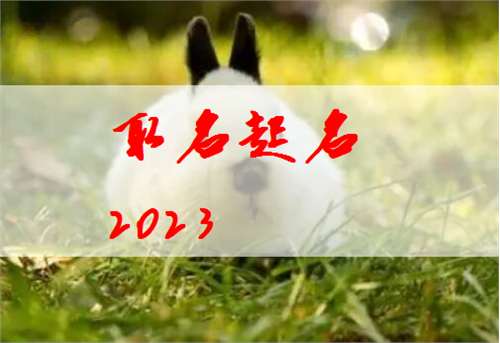 屬兔申姓寶寶起名大全
