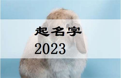 屬兔董姓寶寶起名大全
