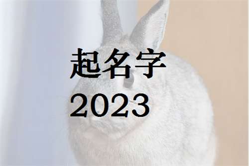 屬兔畢姓寶寶起名大全