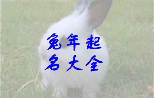 屬兔姓崔寶寶起名大全