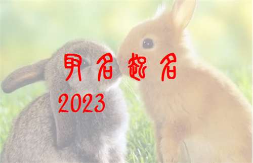屬兔姓彭寶寶起名大全