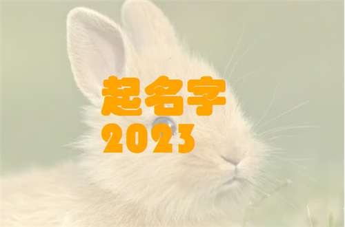 屬兔畢姓寶寶起名大全