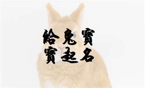 屬兔寶寶起名大全