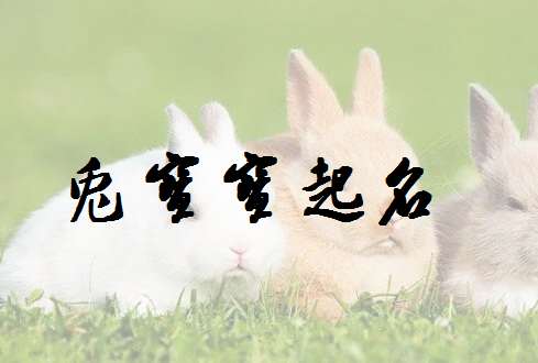 屬兔鄭姓寶寶起名大全