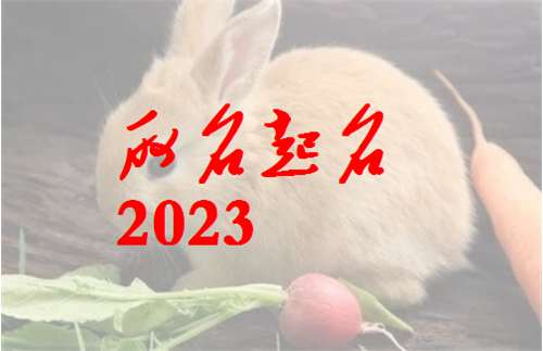 屬兔姓蘇寶寶起名大全