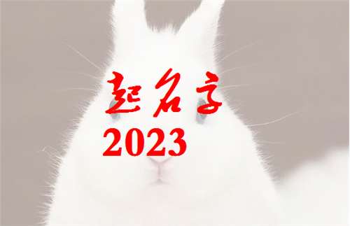屬兔魯姓寶寶起名大全