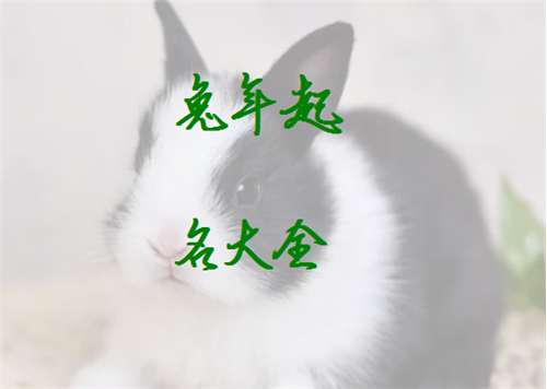 屬兔姓鄭寶寶起名大全