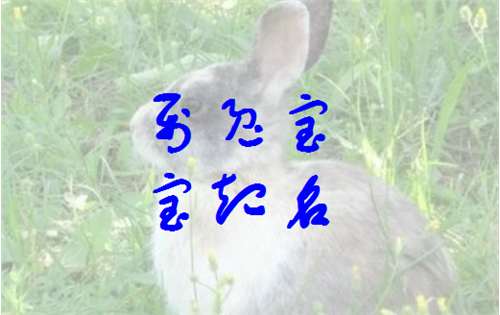 屬兔姓賈寶寶起名大全