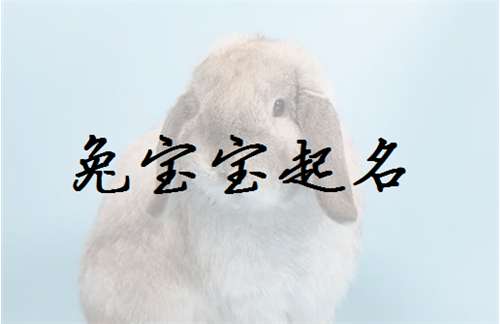 屬兔史姓寶寶起名大全