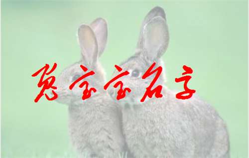 屬兔葛姓寶寶起名大全