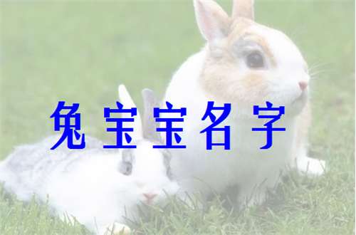 屬兔徐姓寶寶起名大全