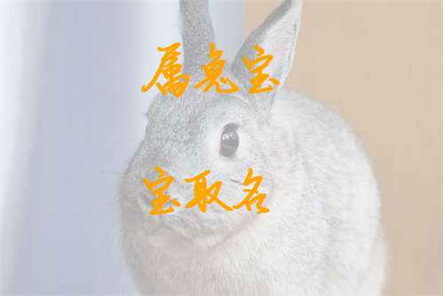 屬兔章姓寶寶起名大全