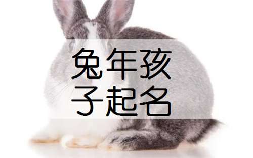 屬兔姓宋寶寶起名大全